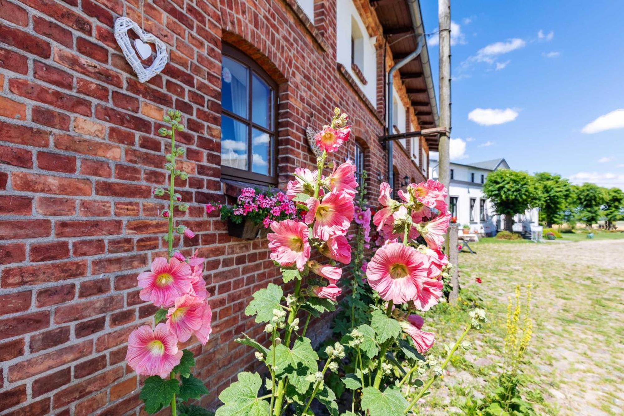 Ostsee Bauernhof Schwalbennest Ofc 15 Steffenshagen Exterior foto